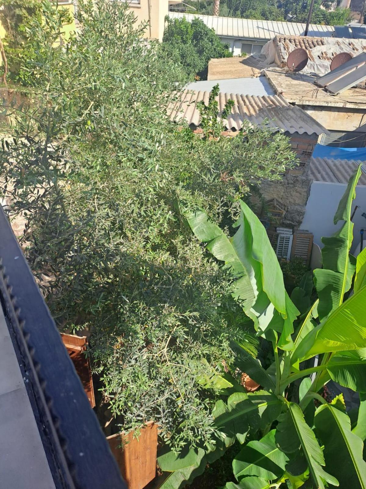Magic Moon Guest House Famagusta  Exterior photo
