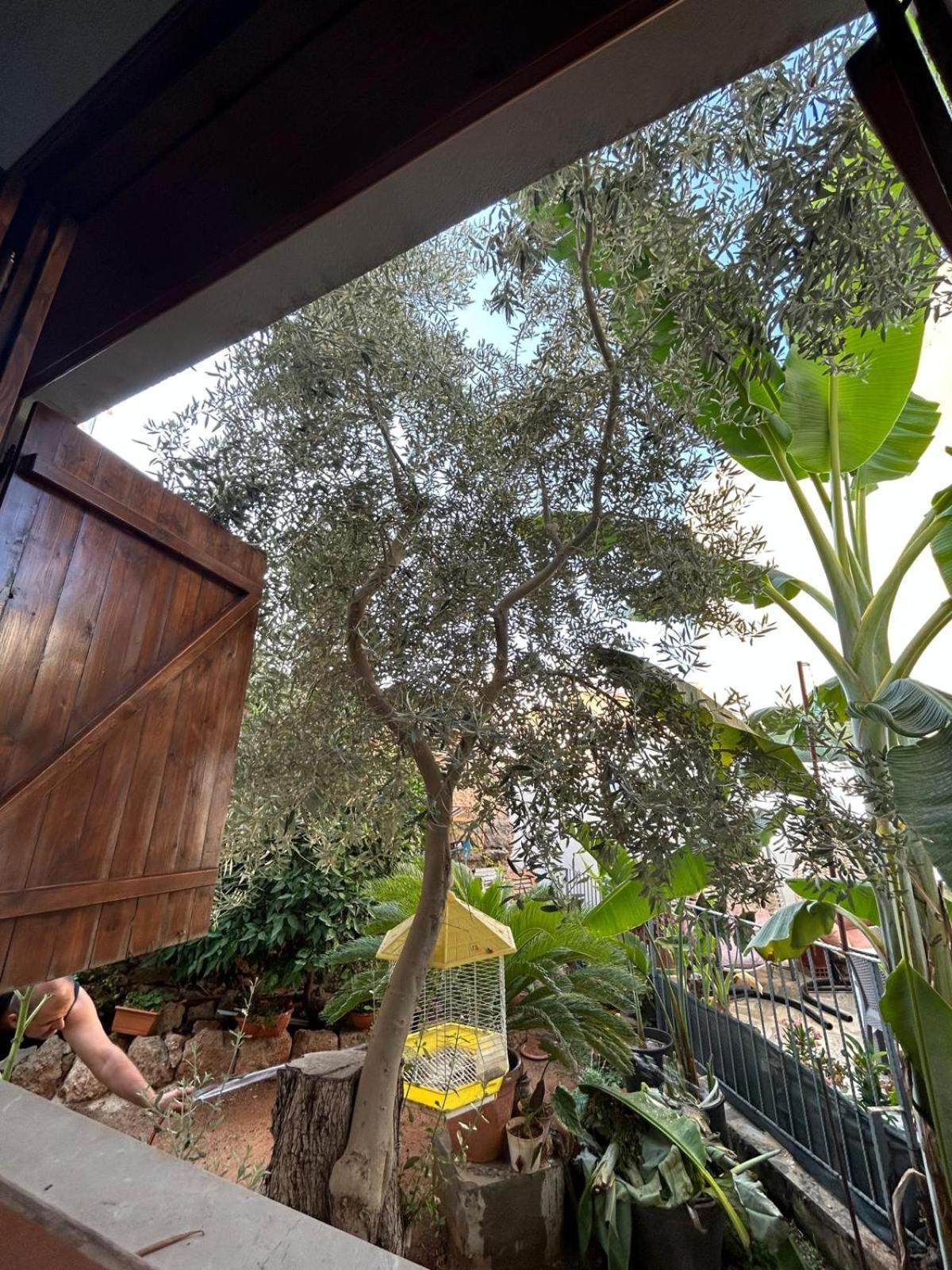 Magic Moon Guest House Famagusta  Exterior photo
